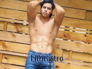 Litocastro