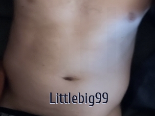 Littlebig99