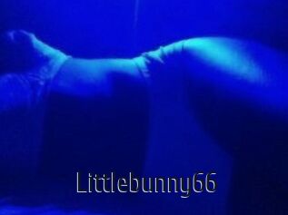 Littlebunny66