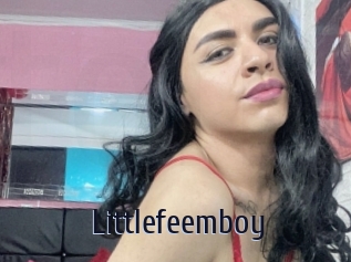 Littlefeemboy