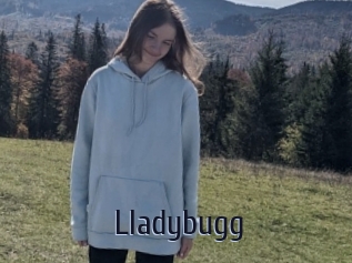 Lladybugg