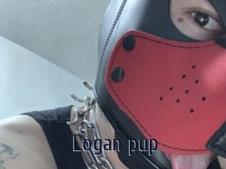 Logan_pup