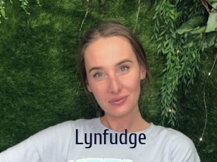 Lynfudge