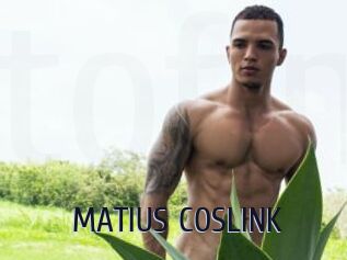 MATIUS_COSLINK