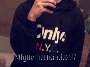 Miguel_hernandez97