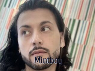 Mintboy