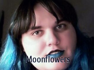 Moonflowers