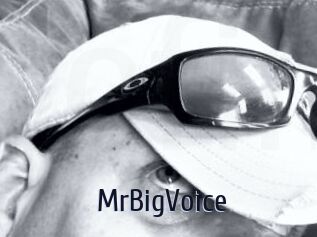 MrBigVoice