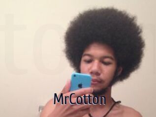 MrCotton