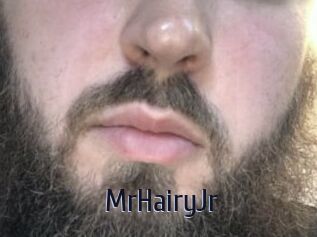 MrHairyJr