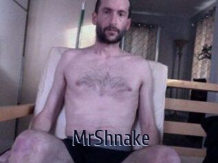 MrShnake