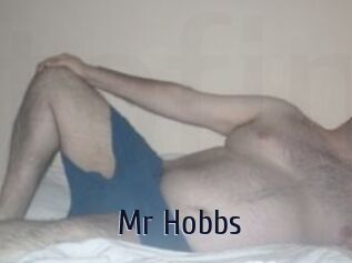 Mr_Hobbs