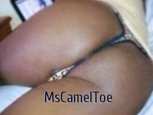 MsCamelToe