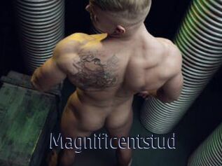 Magnificentstud