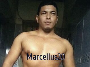 Marcellus20