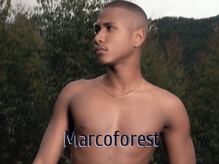 Marcoforest