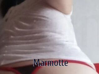 Marmotte