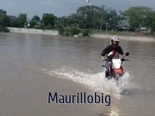 Maurillobig