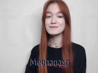 Meghanasp