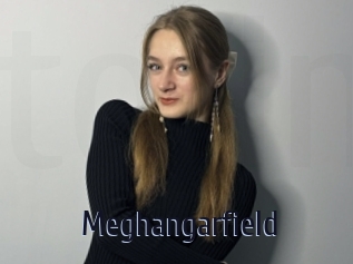 Meghangarfield