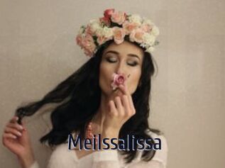 Meilssalissa