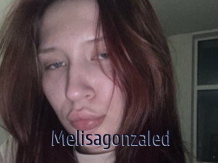 Melisagonzaled