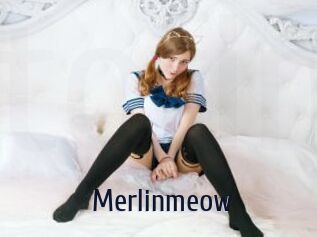 Merlinmeow