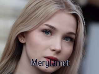 Merylarnet