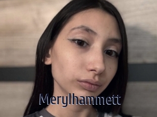 Merylhammett