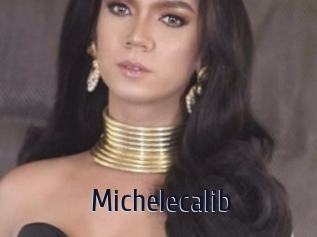 Michelecalib