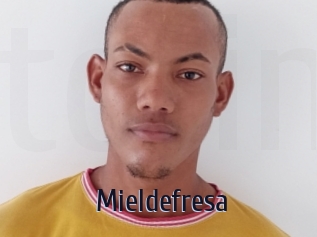 Mieldefresa