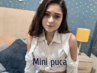 Mini_puca