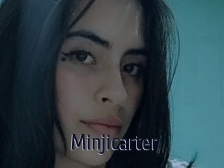 Minjicarter