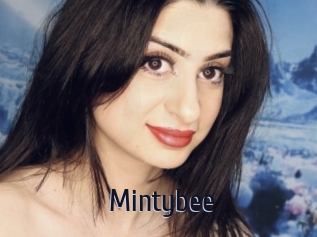 mintybee Topp Finder
