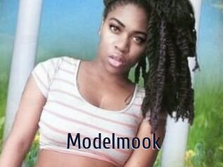 Modelmook