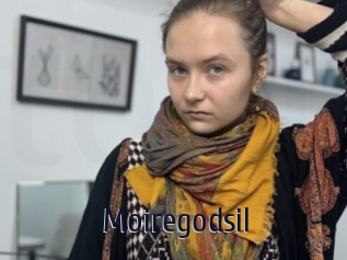 Moiregodsil