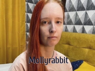 Mollyrabbit