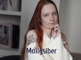 Mollysiber