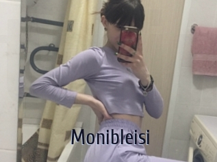 Monibleisi