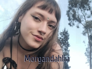 Morgandahlia