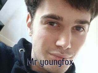 Mr_youngfox