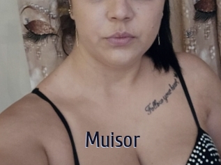 Muisor