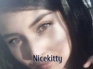 Nicekitty