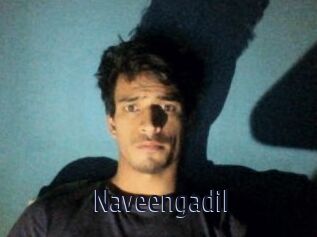 Naveengadil