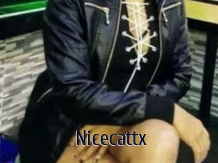 Nicecattx