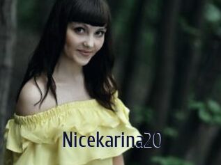 Nicekarina20