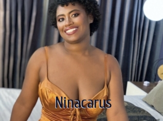 Ninacarus