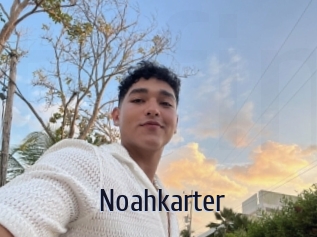 Noahkarter