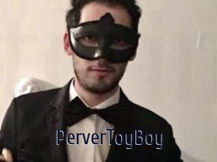 PerverToyBoy