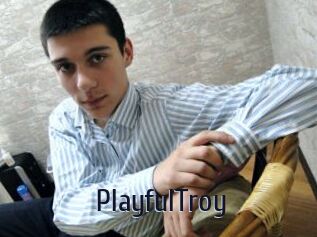 PlayfulTroy